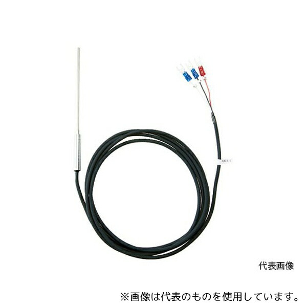 緑であること活動の領域