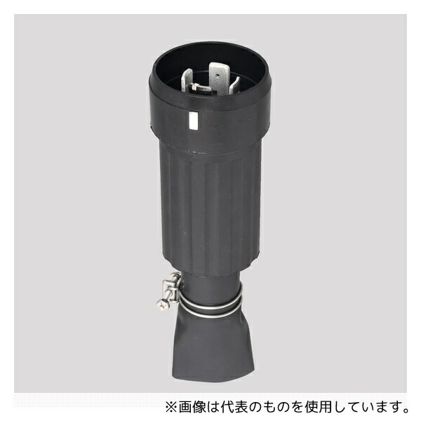 緑であること活動の領域