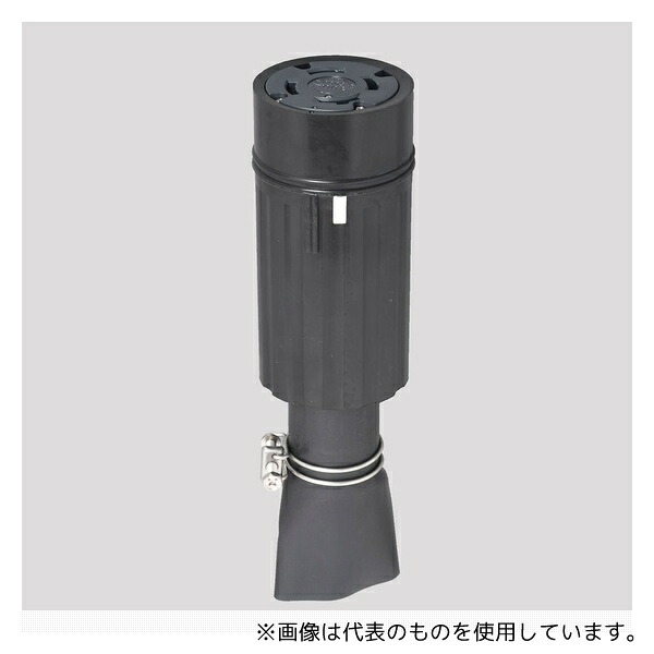 緑であること活動の領域