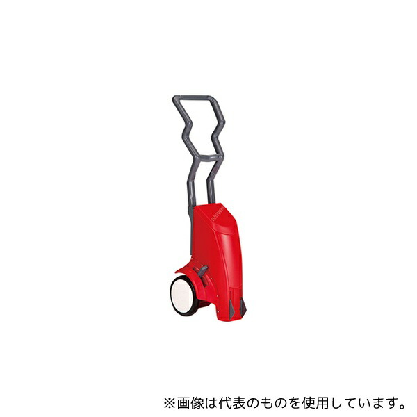 緑であること活動の領域