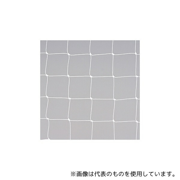 エバニュー EKE824 Jrサッカーゴールネット J110