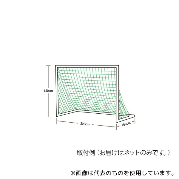 エバニュー EKU029 ミニサッカーゴールネット M101
