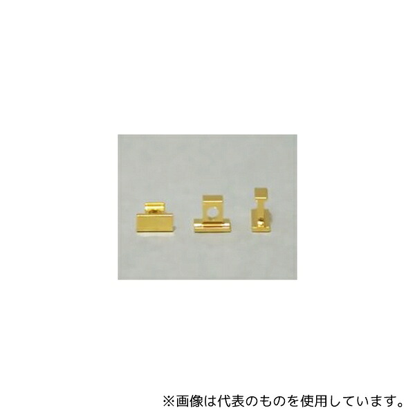 緑であること活動の領域