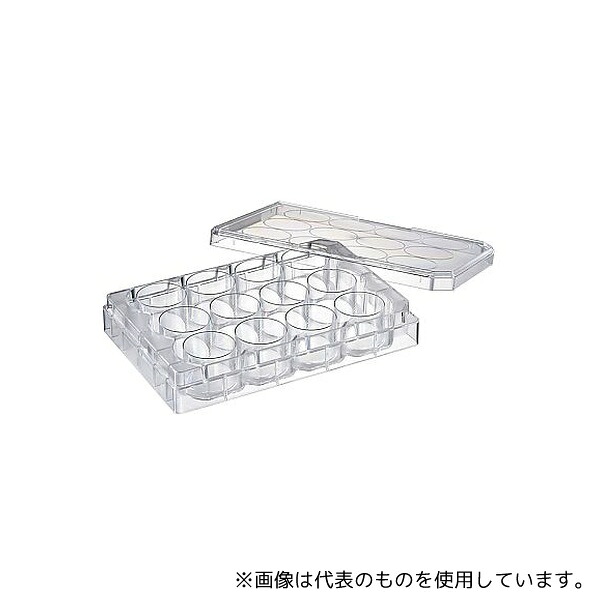 WATSON 197-12CS 培養プレート12ウェル 浮遊細胞用 滅菌