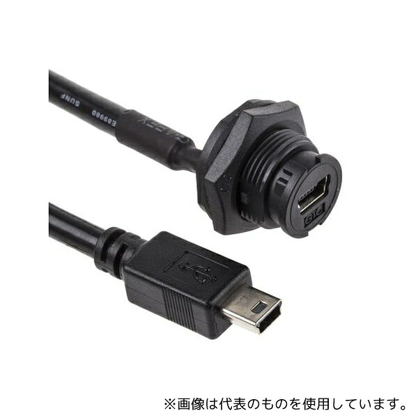 緑であること活動の領域
