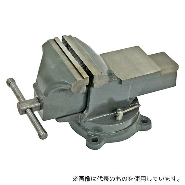 緑であること活動の領域