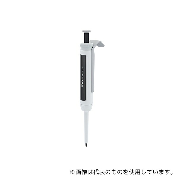 緑であること活動の領域 花・ガーデン・DIY-DIY・工具-その他