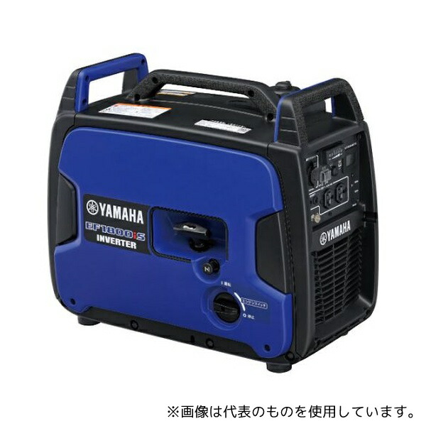 緑であること活動の領域