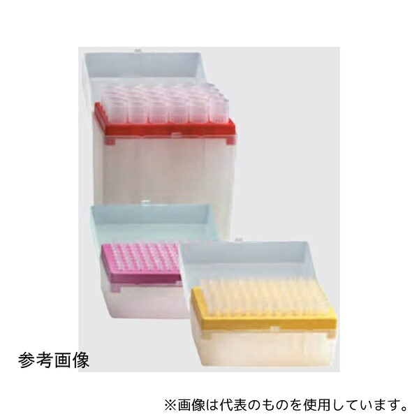 緑であること活動の領域