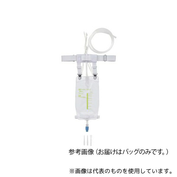 緑であること活動の領域