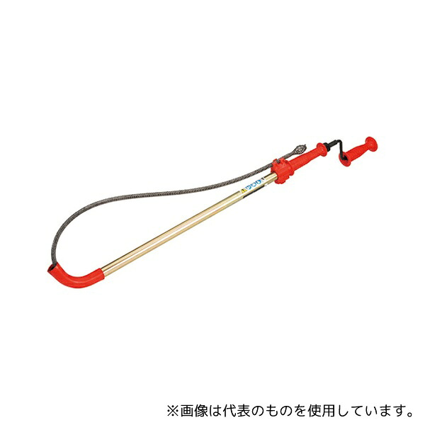 緑であること活動の領域