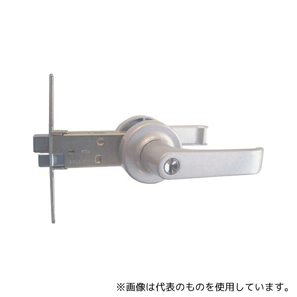 緑であること活動の領域