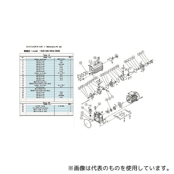 緑であること活動の領域
