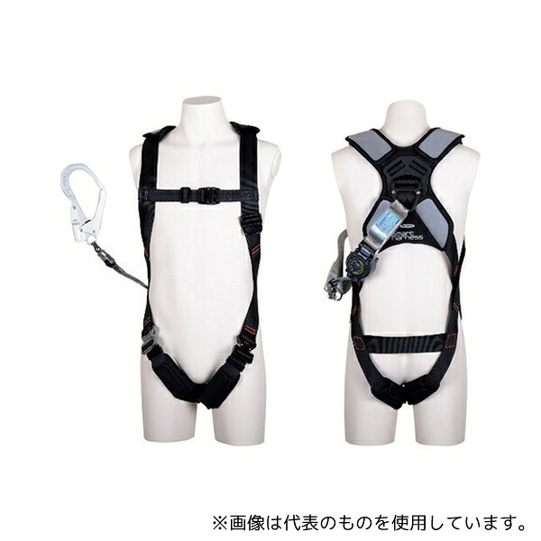 緑であること活動の領域