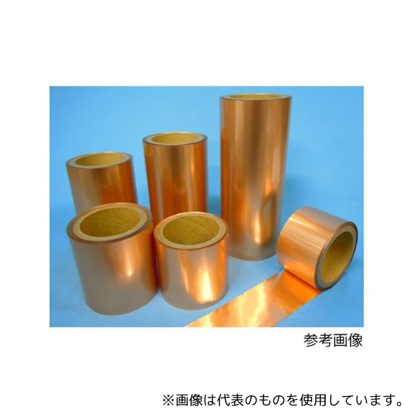 緑であること活動の領域