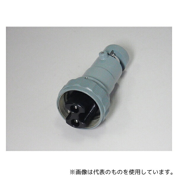 緑であること活動の領域