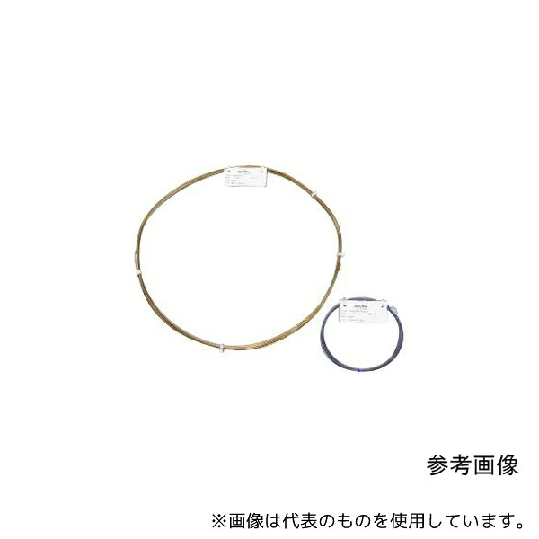 緑であること活動の領域