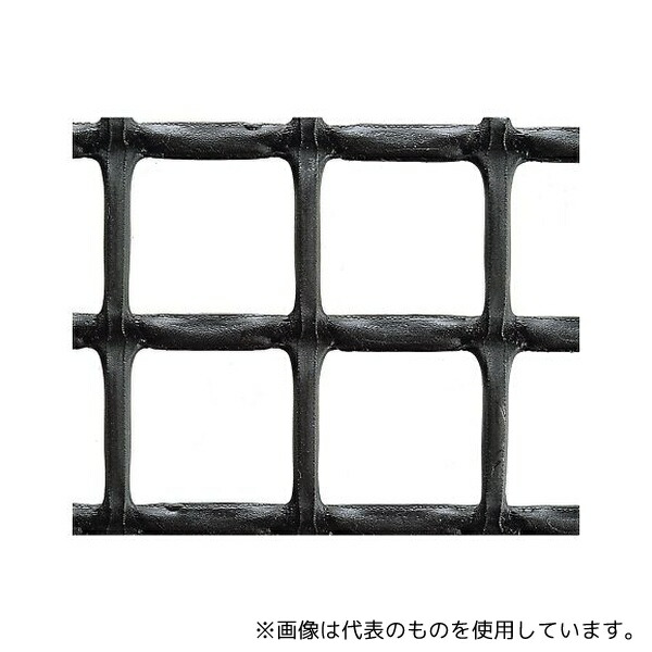 緑であること活動の領域