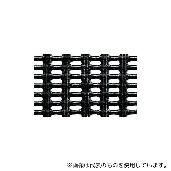 緑であること活動の領域