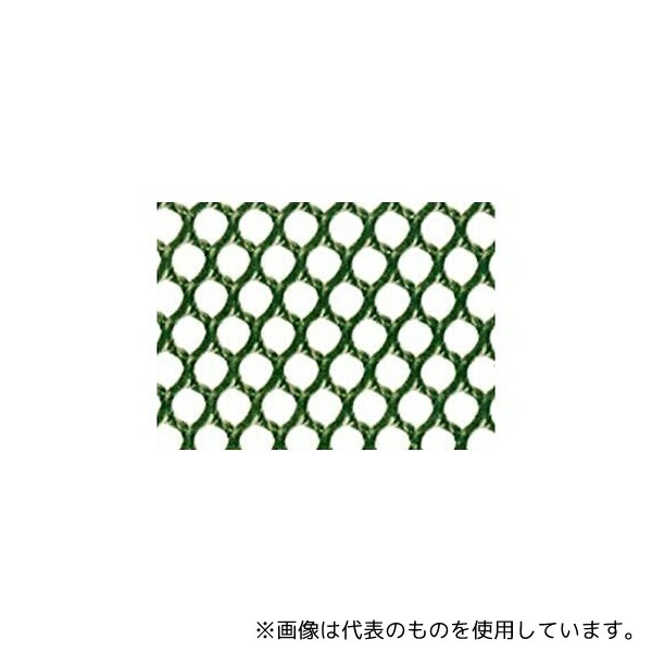 緑であること活動の領域