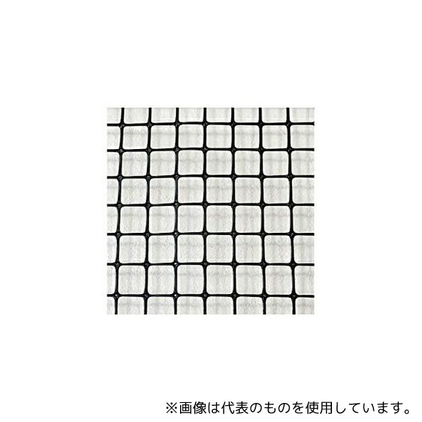 緑であること活動の領域