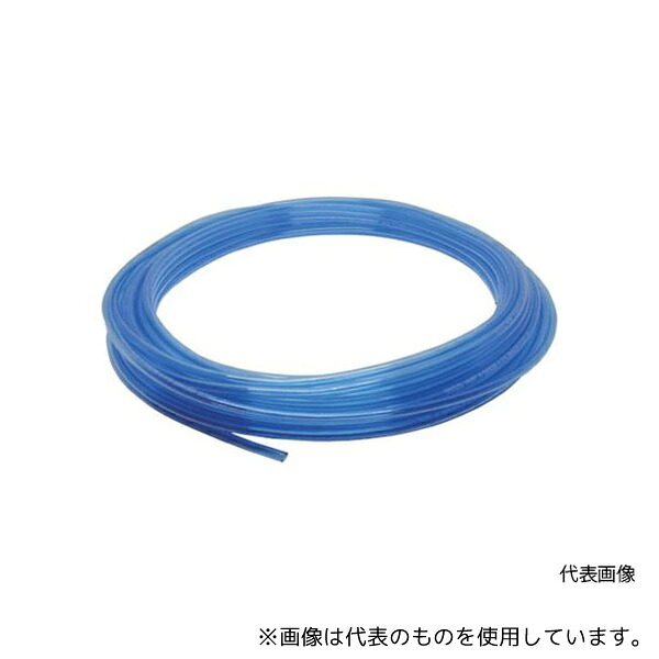 緑であること活動の領域