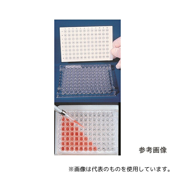 緑であること活動の領域