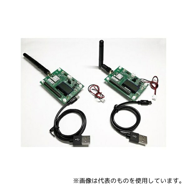 緑であること活動の領域