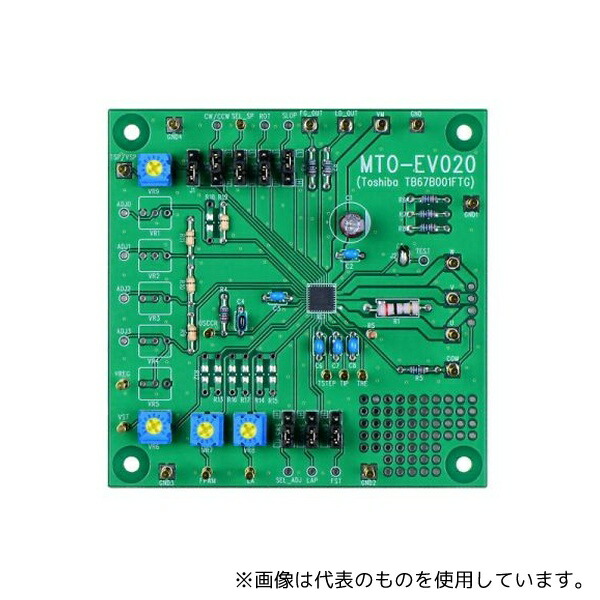 緑であること活動の領域