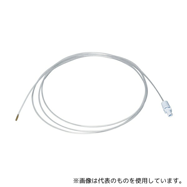 緑であること活動の領域