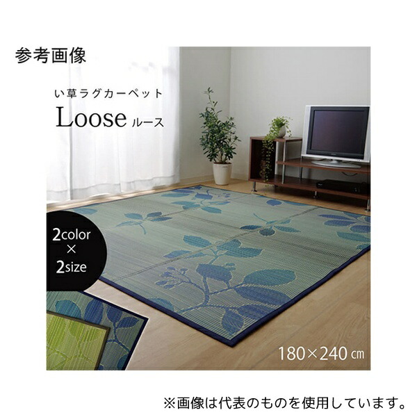 アズワン 1.07E+12 い草ラグ おしゃれ シンプル カーペット 『ルース』 グリーン 約180×240cm