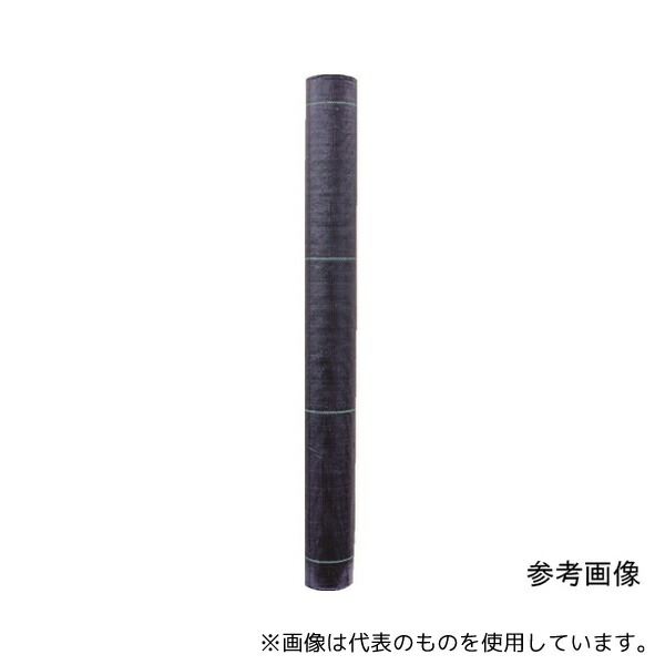 緑であること活動の領域