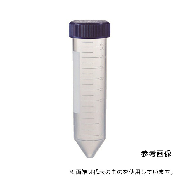緑であること活動の領域