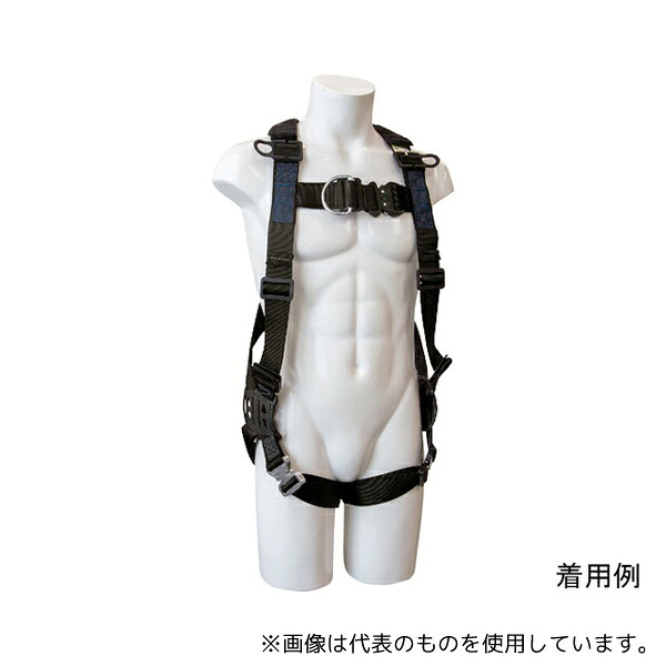 緑であること活動の領域