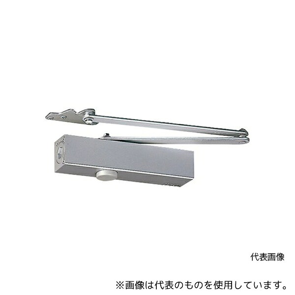 緑であること活動の領域