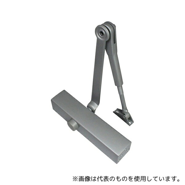 緑であること活動の領域