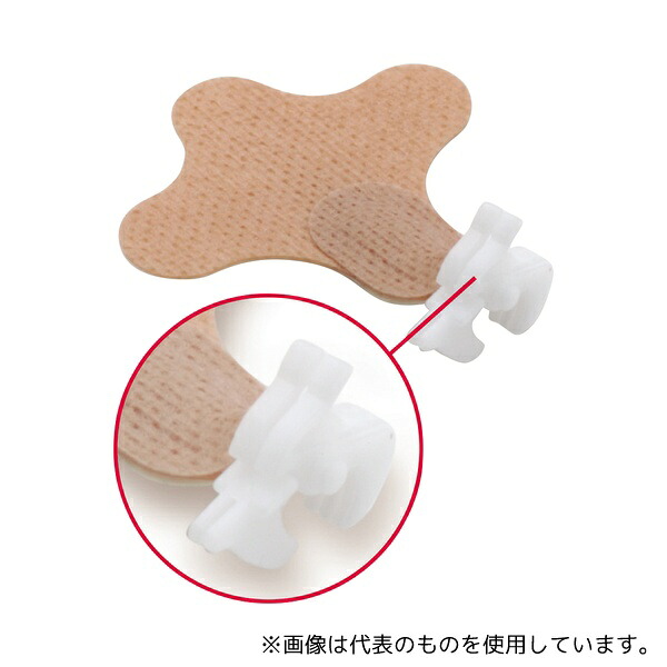 緑であること活動の領域