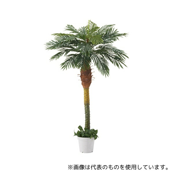 緑であること活動の領域