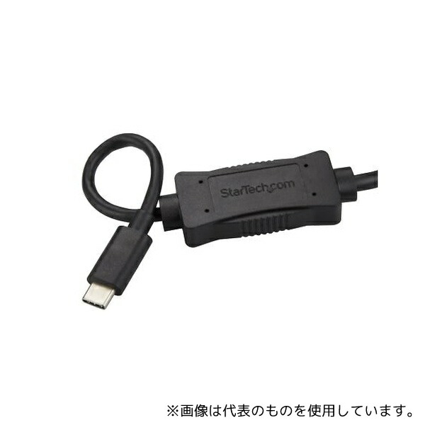 緑であること活動の領域