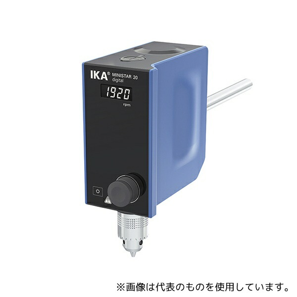 緑であること活動の領域