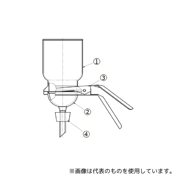 緑であること活動の領域