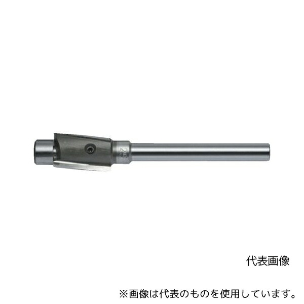 緑であること活動の領域