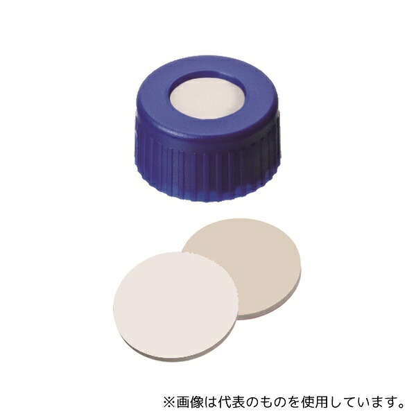 緑であること活動の領域