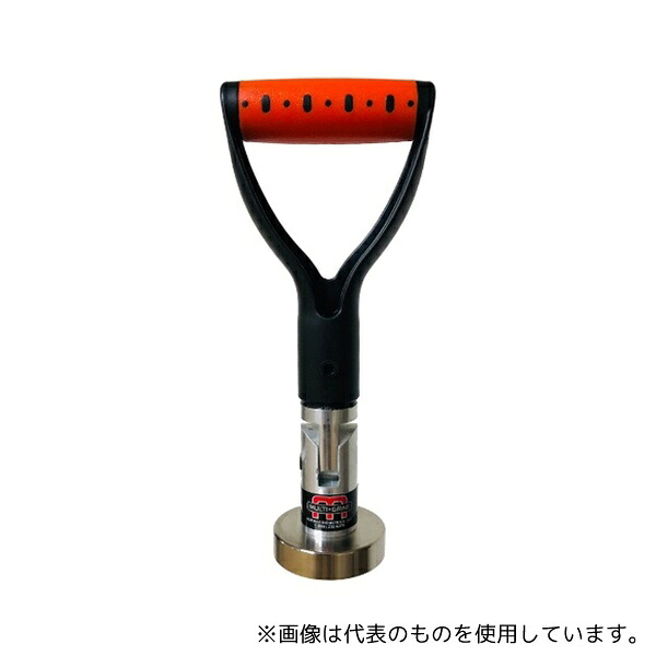 緑であること活動の領域