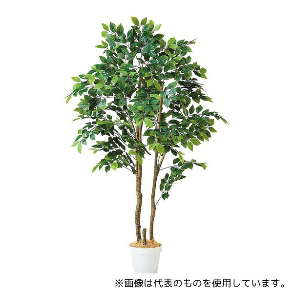 アズワン 61-806-80-2 マウンテンアッシュ(フェイクグリーン 人工樹木)180cm