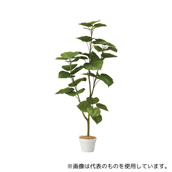 メーカー欠品中:6月上旬頃予定 アズワン 61-806-81-1 フィカスウンベラータ(フェイクグリーン 人工樹木)130cm