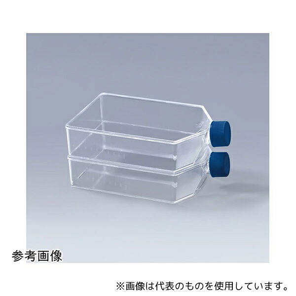 緑であること活動の領域