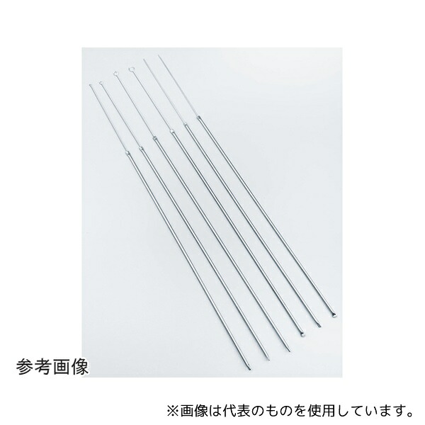 緑であること活動の領域