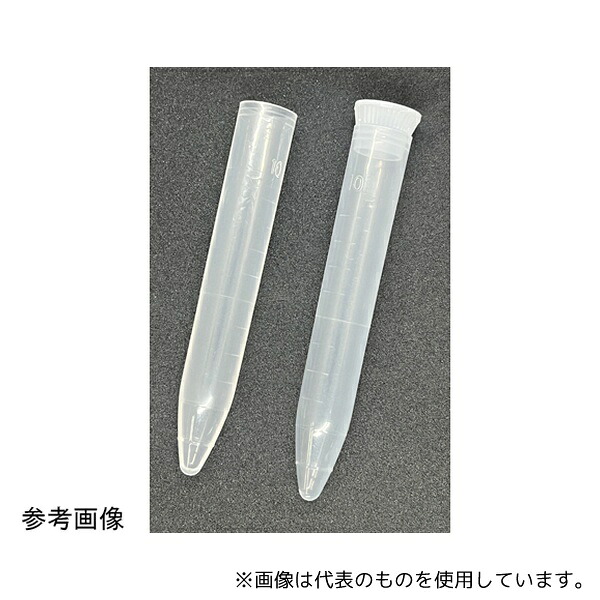 緑であること活動の領域