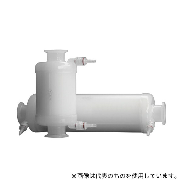 緑であること活動の領域